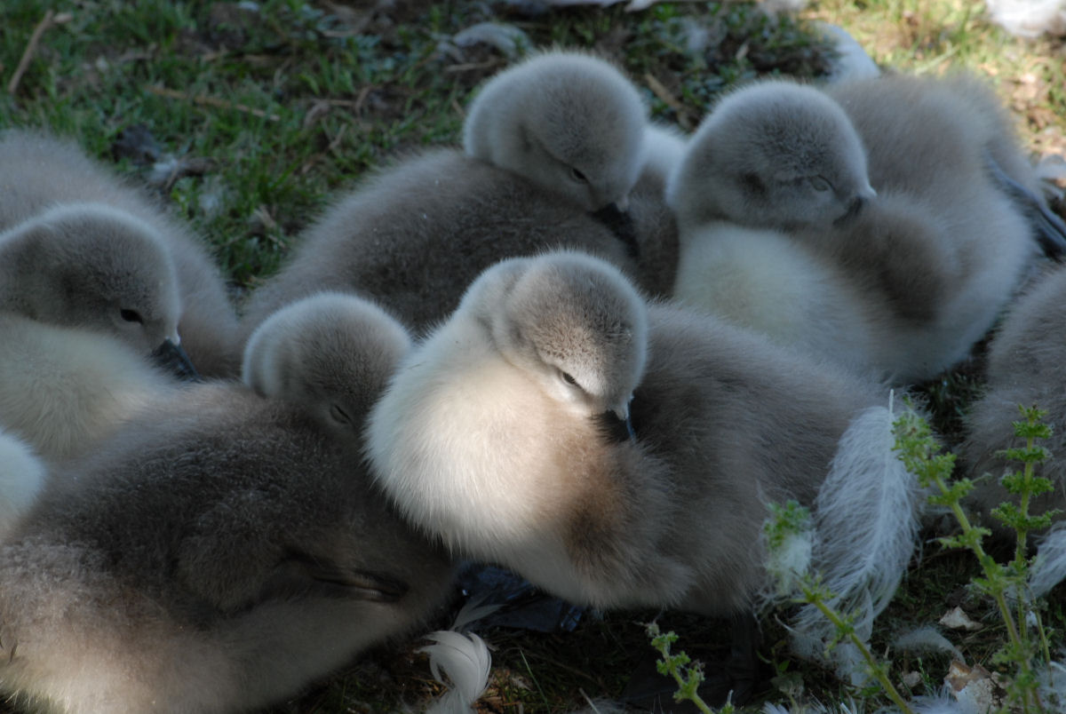 Evening street scene after rain