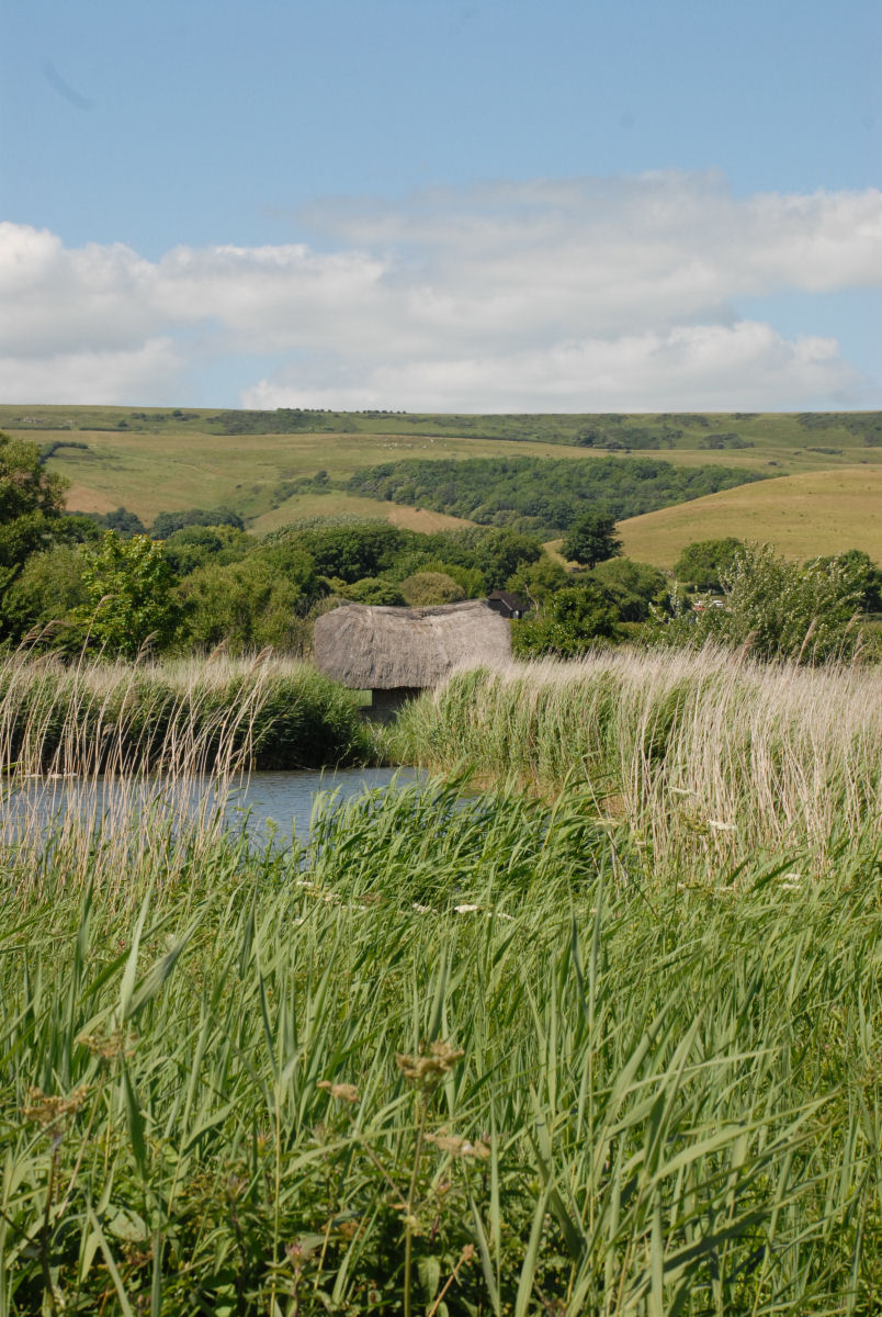 Portrait in natural window light