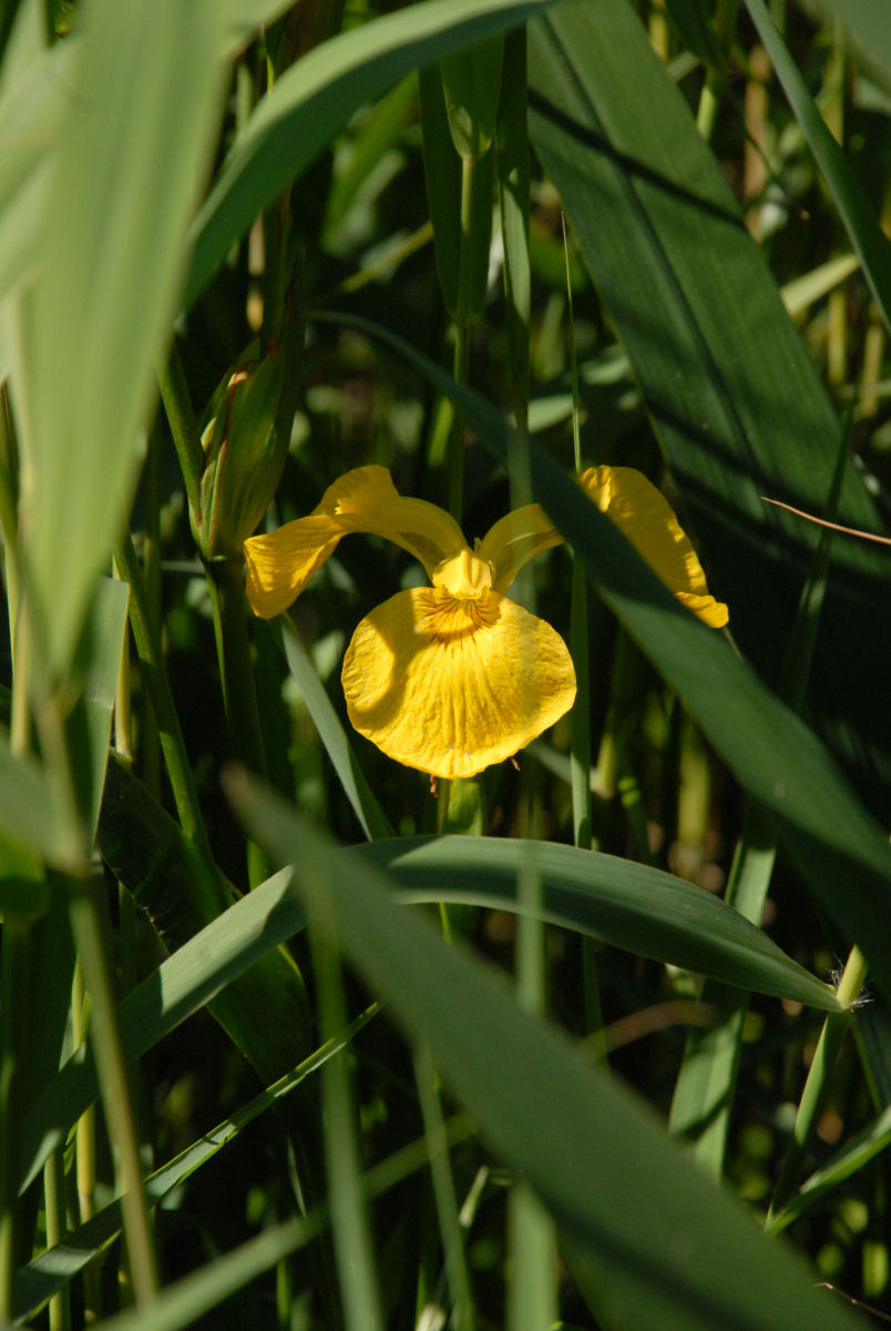 Morning light over the valley