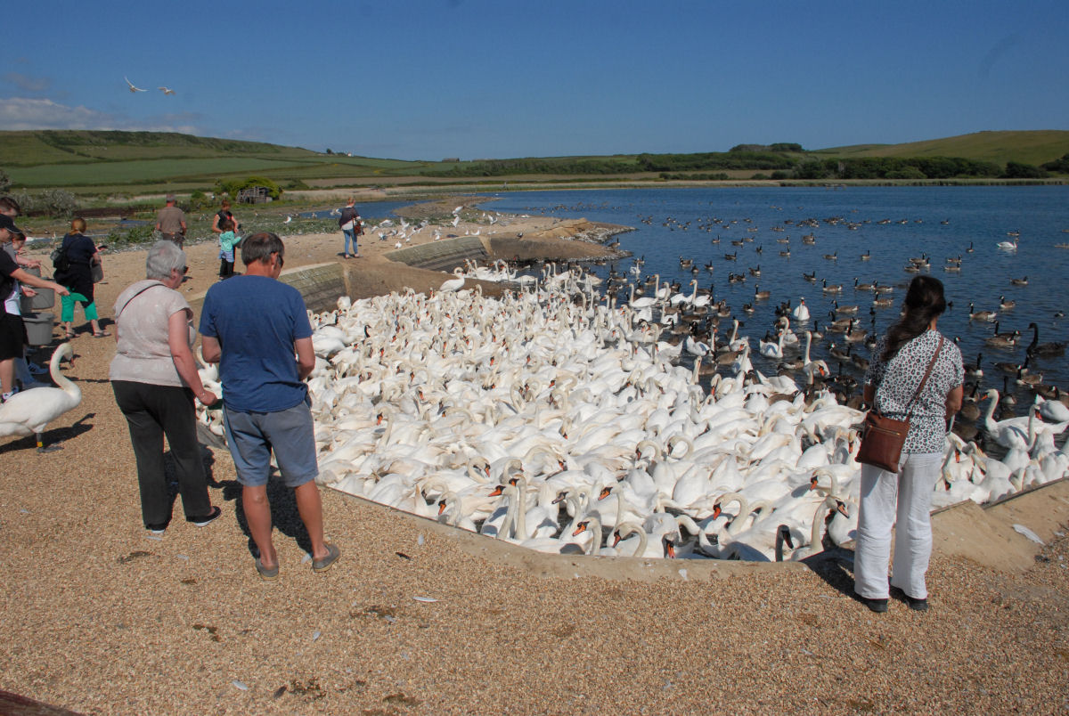 Evening street scene after rain