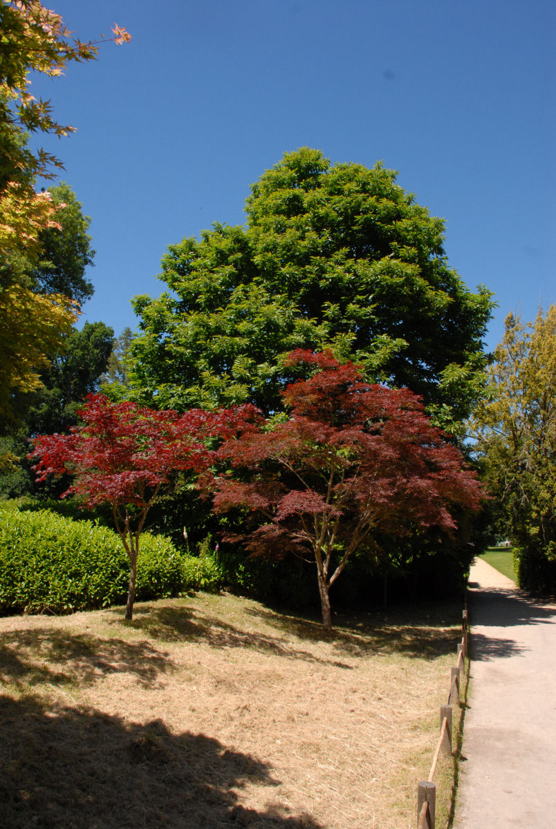 Portrait in natural window light